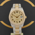 Rolex Datejust 41 Iced Out S/G - Ref: 126303 - aus 2021 - NEU